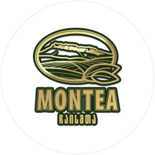 Montea.png